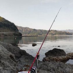 キスの投げ釣り