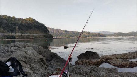 キスの投げ釣り