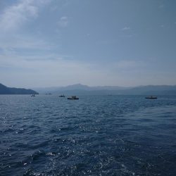 筏ショアジギング