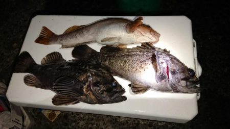 閖上漁港周辺の釣行