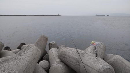 座布団にわずか届かず、、