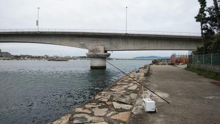 良型キスが釣れました