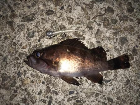 ハリ先の確認は必須