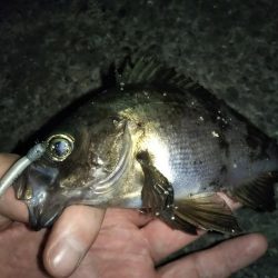 最後の1投で「つ抜け」達成