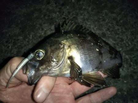 最後の1投で「つ抜け」達成