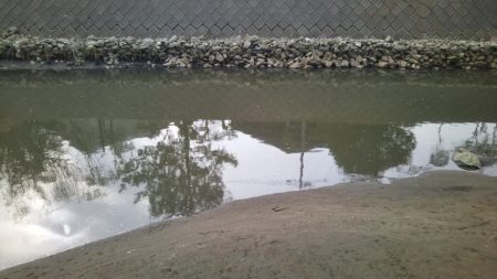 こんな場所で60センチオーバー!