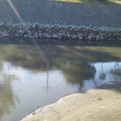 真っ昼50センチ越え2本！