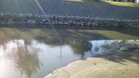 真っ昼50センチ越え2本！