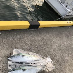 三国沖　春のジギング祭り開催！！