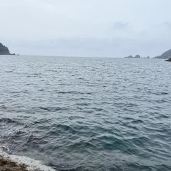 エギングだったつもりが…