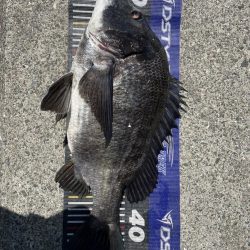 イチノ兄弟、釣果!