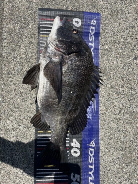 イチノ兄弟、釣果!