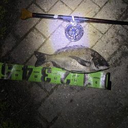 ヘチってきました