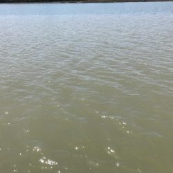 散歩がてらな岸壁ジギング