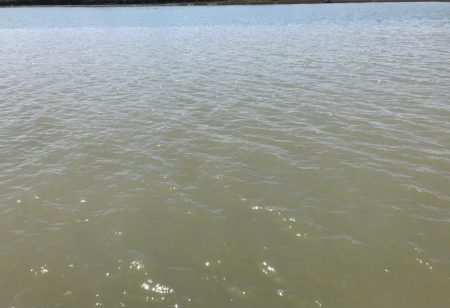 散歩がてらな岸壁ジギング