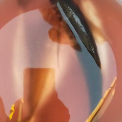 台風明けアジ確認