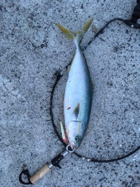 外道に邪魔されながらも大満足の釣果！