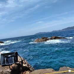 フカセ‥釣れないですネ・・