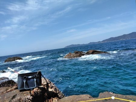 フカセ‥釣れないですネ・・