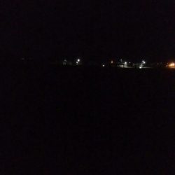 ヤリイカ1杯！スルメイカ1杯！