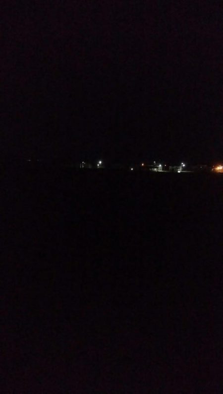 ヤリイカ1杯！スルメイカ1杯！