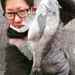 年無し乗っ込み