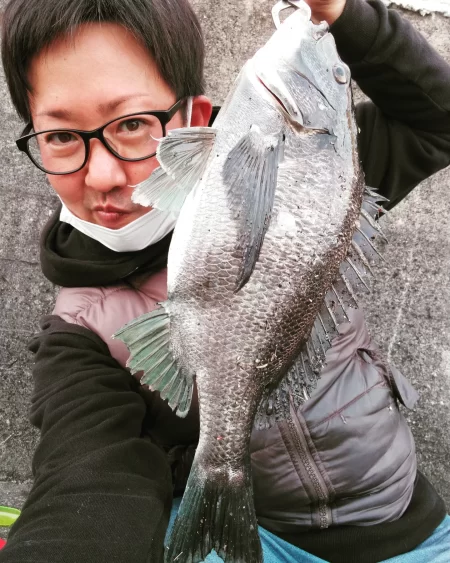 年無し乗っ込み