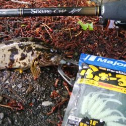 ライトチニングイエロー