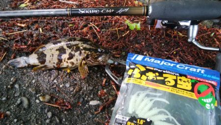 ライトチニングイエロー