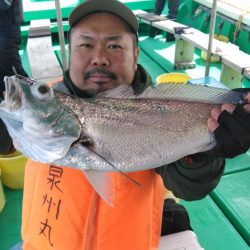 泉州丸 釣果