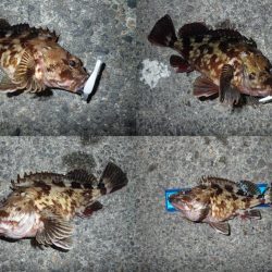 初めての場所でライトワインド調査！