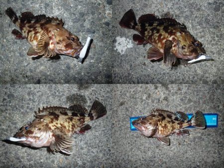 初めての場所でライトワインド調査！