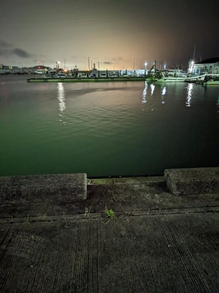 メバルプラッキング