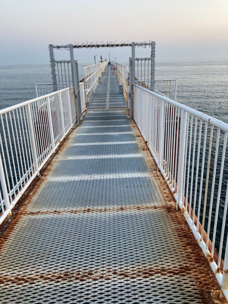 虫ヘッドでメバル