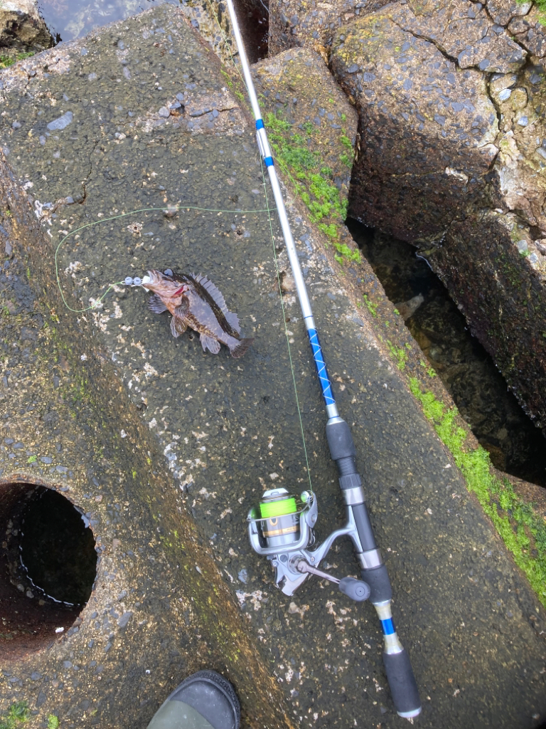 穴釣り　10回目