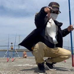 淡路島のカレイ