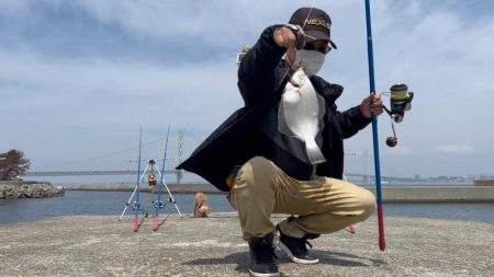 淡路島のカレイ