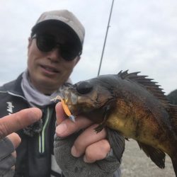 鯵道でアジングの道を極めろ！