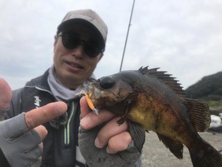 鯵道でアジングの道を極めろ！