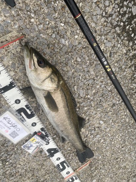 久しぶりの雨の釣り