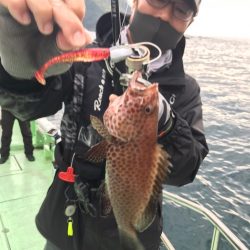 エギングの合間にロックフィッシュゲーム