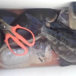 古満目　磯釣り