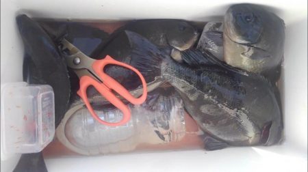 古満目　磯釣り