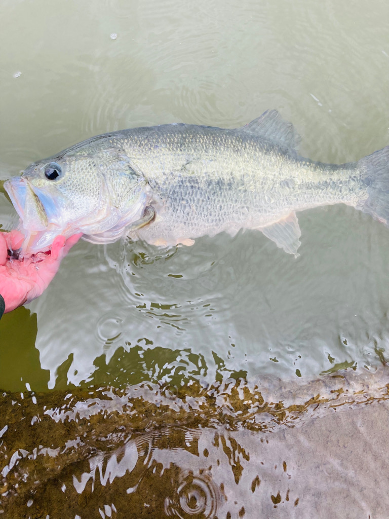 初バスは50up！！