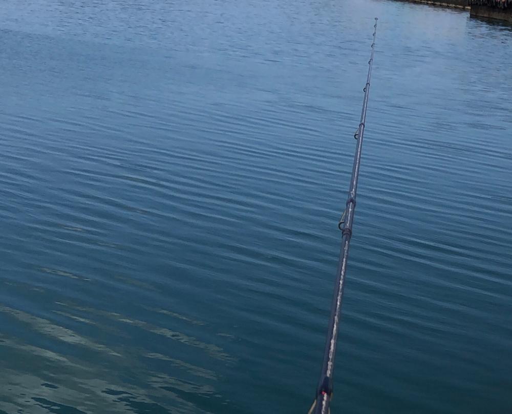 「コウ」シーズン