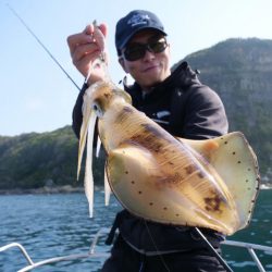 【ボートエギング】スクイッドジャンキー・ライブリーダートで、シーズン初期の気難しい春イカが爆釣‼︎
