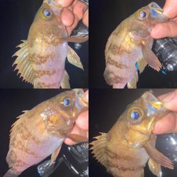 メインラインを変更してみた！