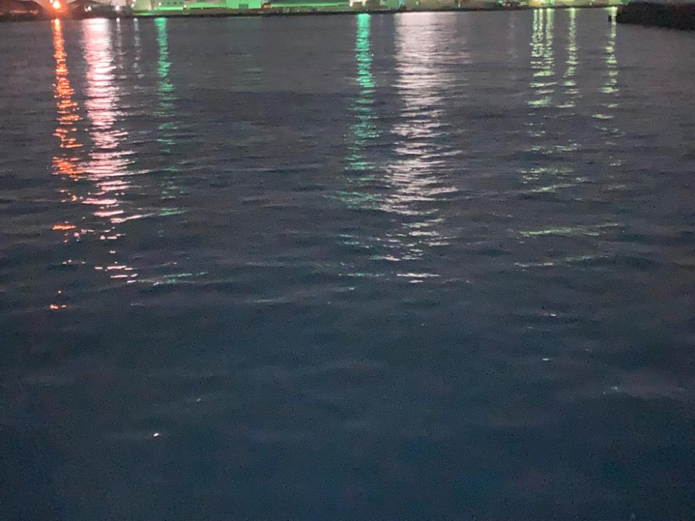 まだ少し早いかも