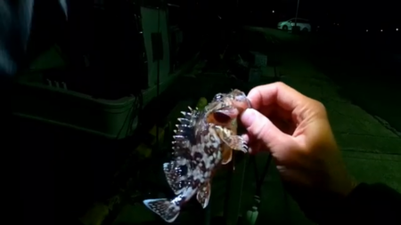 初浜田ライトゲーム！