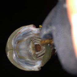 粘ってなんとか